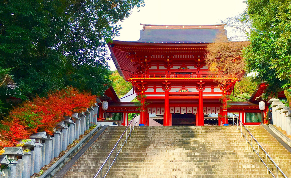 格式高い天皇神社・最強パワースポット 近江神宮