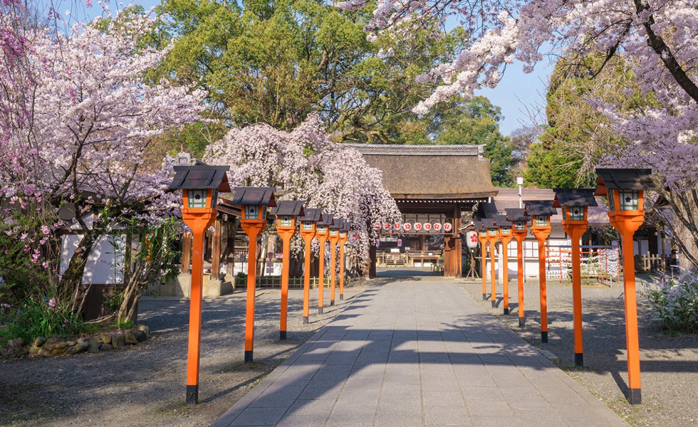 神社格式ランキング 最強神社 上七社 平野神社