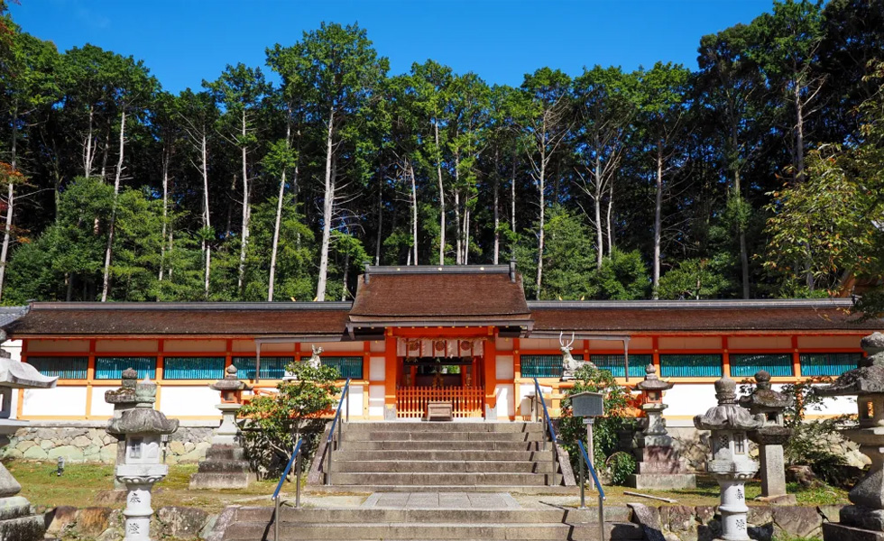 神社格式ランキング 最強神社 中七社 大原野神社